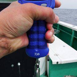 第三むつりょう丸 釣果