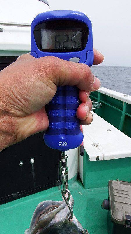 第三むつりょう丸 釣果