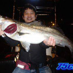 オーシャンマスター 釣果