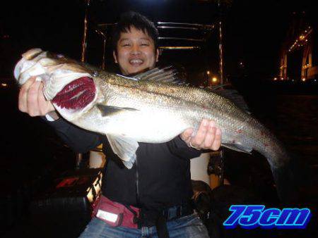 オーシャンマスター 釣果