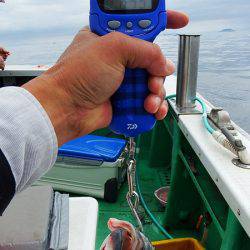 第三むつりょう丸 釣果