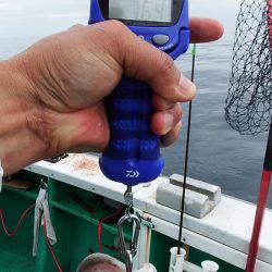 第三むつりょう丸 釣果