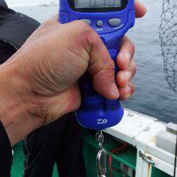 第三むつりょう丸 釣果