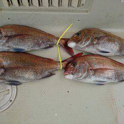 松本釣船2 釣果