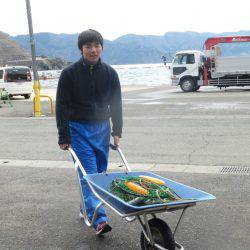 海釣り公園みかた 釣果