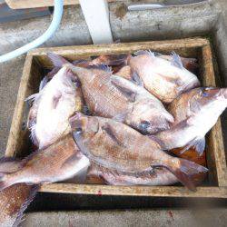 海釣り公園みかた 釣果