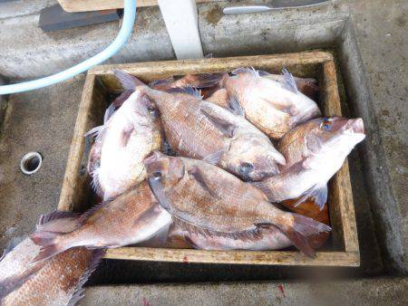 海釣り公園みかた 釣果