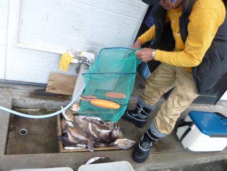 海釣り公園みかた 釣果