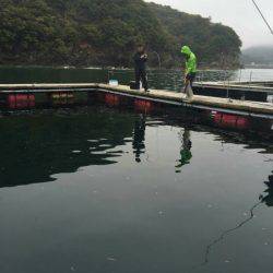 松名瀬フィッシングパーク 釣果