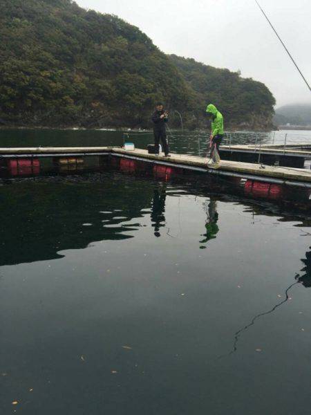 松名瀬フィッシングパーク 釣果