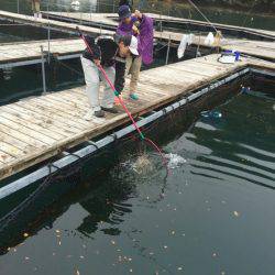 松名瀬フィッシングパーク 釣果