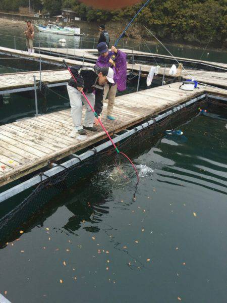 松名瀬フィッシングパーク 釣果