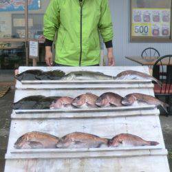 松名瀬フィッシングパーク 釣果