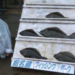 松名瀬フィッシングパーク 釣果