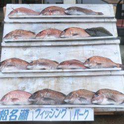 松名瀬フィッシングパーク 釣果