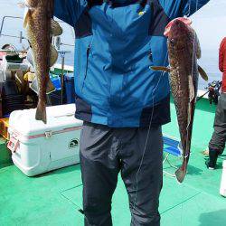 第三むつりょう丸 釣果