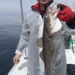 第三むつりょう丸 釣果