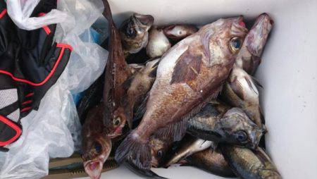 オーフリー 釣果