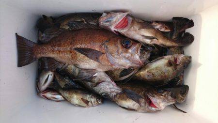 オーフリー 釣果