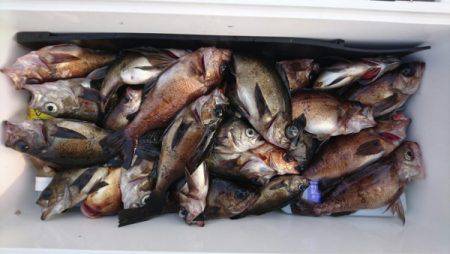 オーフリー 釣果