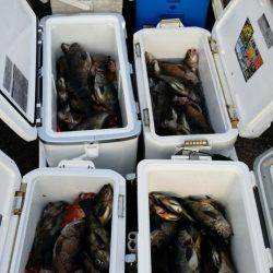 オーフリー 釣果