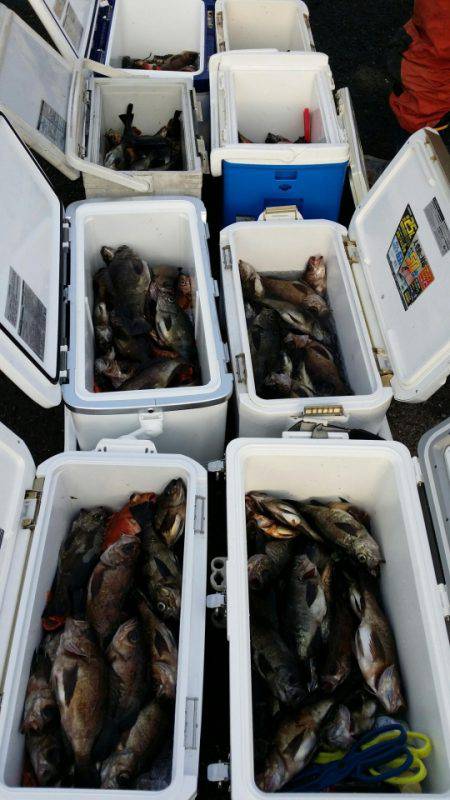 オーフリー 釣果