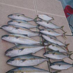 旭星釣りセンター 釣果