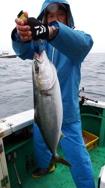 第三むつりょう丸 釣果