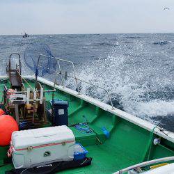 第三むつりょう丸 釣果