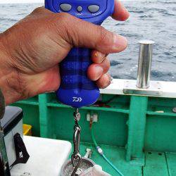 第三むつりょう丸 釣果