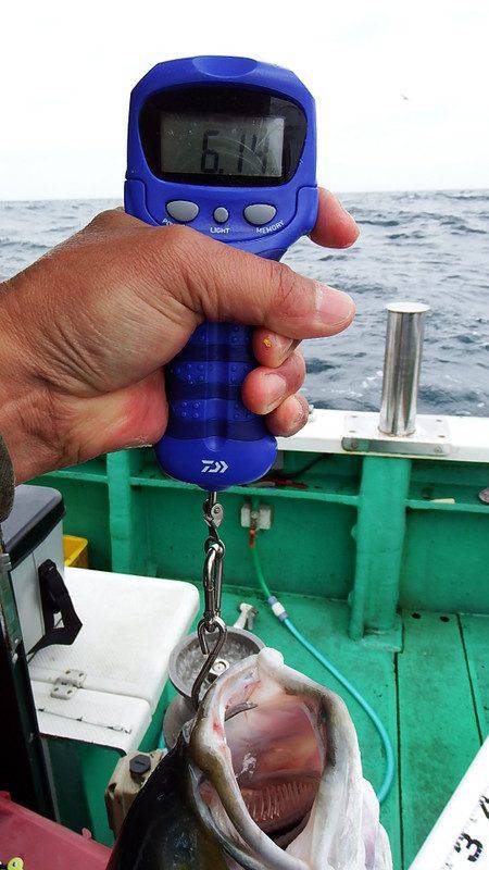 第三むつりょう丸 釣果