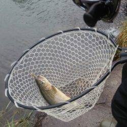 フィッシング母袋 釣果