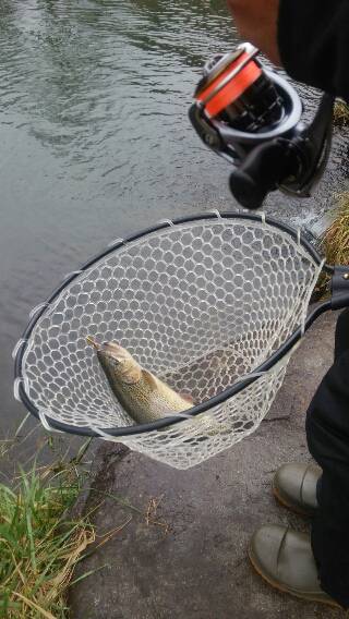 フィッシング母袋 釣果