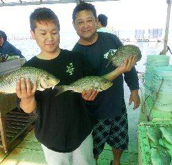 本部釣りイカダ 釣果