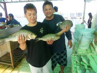 本部釣りイカダ 釣果