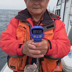 第三むつりょう丸 釣果