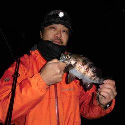 ルアー船マヒマヒ 釣果