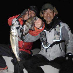 ルアー船マヒマヒ 釣果