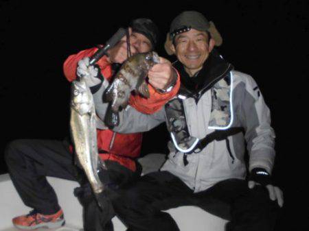 ルアー船マヒマヒ 釣果