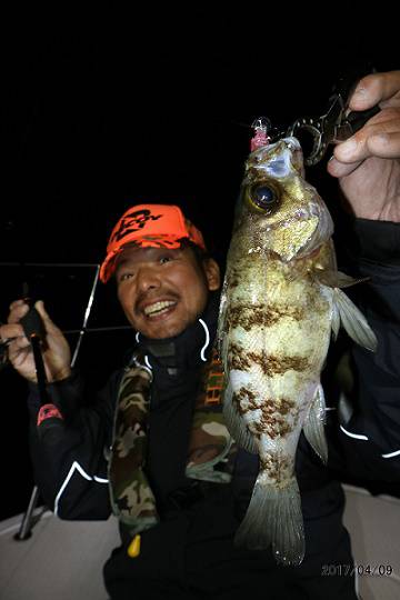 フルコンタクト 釣果