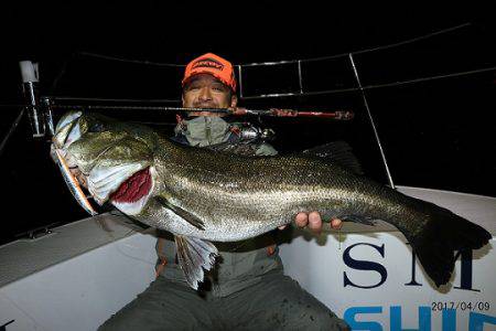 フルコンタクト 釣果