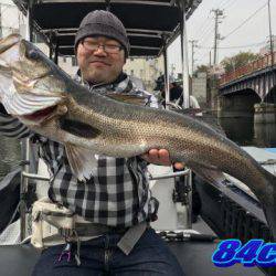 オーシャンマスター 釣果