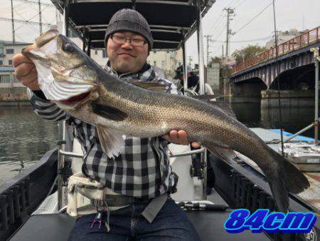 オーシャンマスター 釣果
