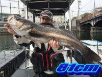 オーシャンマスター 釣果