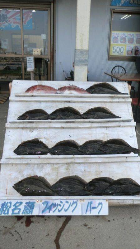 松名瀬フィッシングパーク 釣果