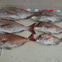 松本釣船２ 釣果