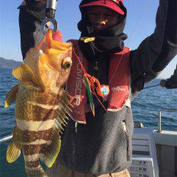 マタウマリンサービス 釣果