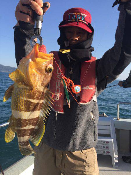 マタウマリンサービス 釣果