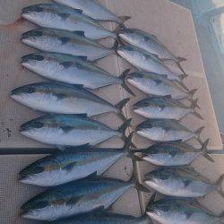 旭星釣りセンター 釣果