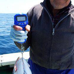 第三むつりょう丸 釣果